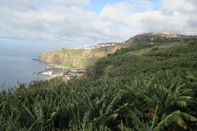 Sugar Route - Levada Nova (Half Day Walk) - Quick Points