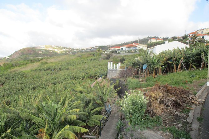 Sugar Route - Levada Nova (Half Day Walk) - Accessibility Information