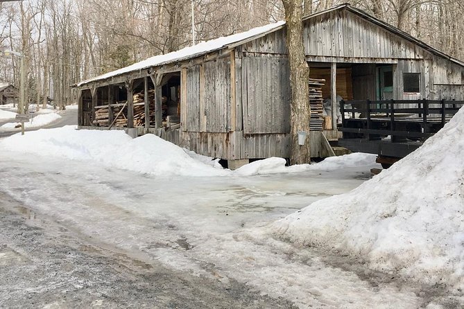 Sugar Shack (Feb to May) Maple Syrup Private Day Tour With Lunch From Montreal - Buffet Lunch Experience