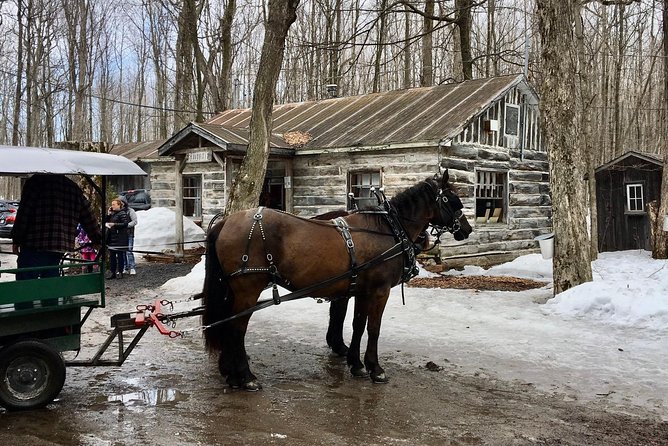 Sugar Shack (Feb to May) Maple Syrup Private Day Tour With Lunch From Montreal - Pickup and Meeting Details