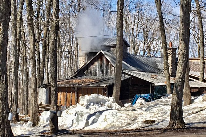 Sugar Shack (Feb to May) Maple Syrup Private Day Tour With Lunch From Montreal - Accessibility and Requirements