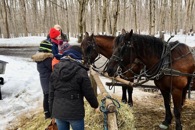 Sugar Shack (Feb to May) Maple Syrup Private Day Tour With Lunch From Montreal - Tour Reviews and Ratings