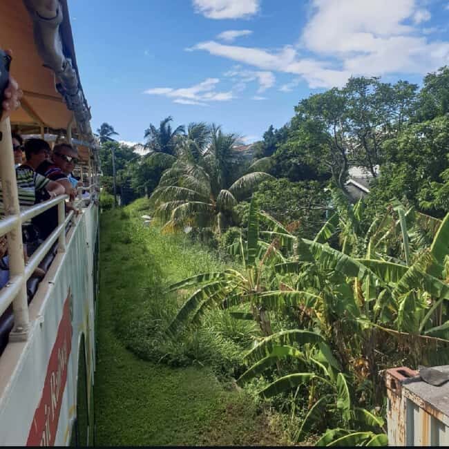 Sugar Train Tour & Drinks|Pick-Up &Drop Off From Cruise Port - An In-Depth Look at the Sugar Train Experience