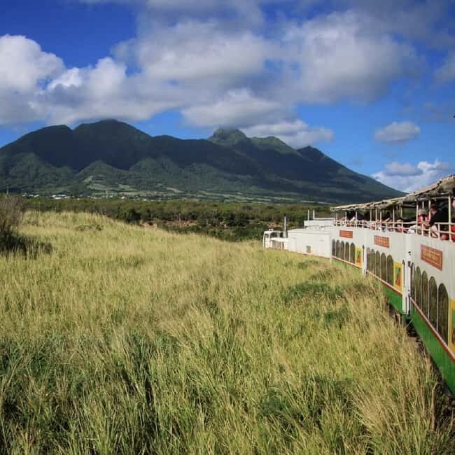 Sugar Train Tour & Drinks|Pick-Up &Drop Off From Cruise Port - What to Expect During the Tour