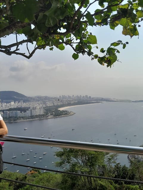 Sugarloaf Mountain: Walking Tour With a Tourist Guide. Small Groups. - Group Size