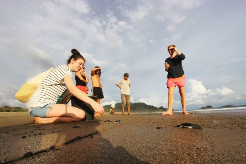Sukamade: A Private Tour To See Turtle Lay Egg (2D/1N) - Experience Type