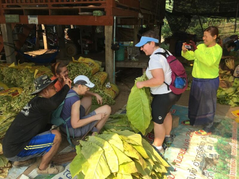 Sukhothai: Half-Day Countryside Bike Tour - Participant Information