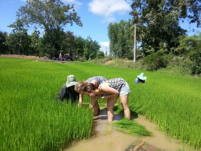 Sukhothai: Half-Day Countryside Bike Tour - Recap