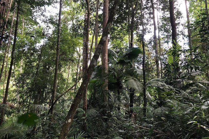 Sulawesi Nani Wartabone National Park Tour - Package Inclusions