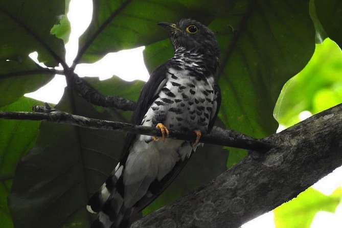 Sulawesi Nani Wartabone National Park Tour - Meeting and Pickup