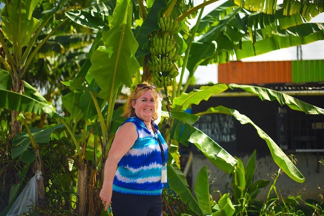 Sulphur Springs Mudbath & Botanical Gardens Tour - All Inclusive - Customer Feedback