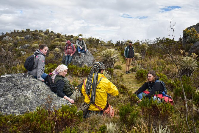 Sumapaz Páramo Private Hike Tour With Lunch - Inclusions and Logistics