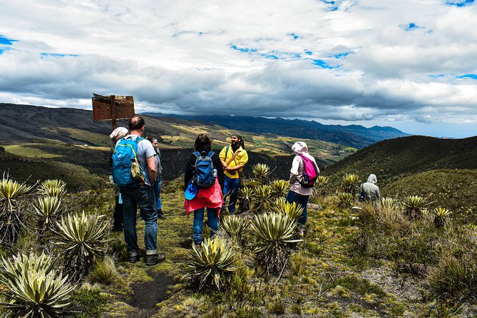 Sumapaz Páramo Private Hike Tour With Lunch - Pick-Up Information