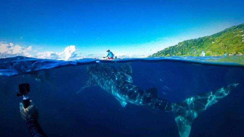 Sumbawa Tour 2 Days 1 Night ( Whale Shark Tour) - Local Culture and Crafts
