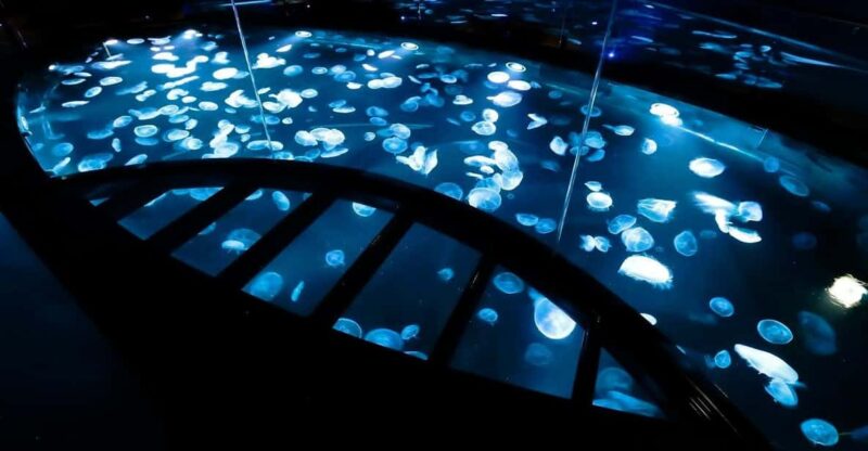 Sumida Aquarium Admission Ticket - Business Hours and Policies