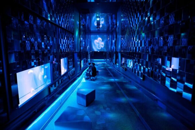 Sumida Aquarium Admission Ticket - Discounts and Offers Limitations