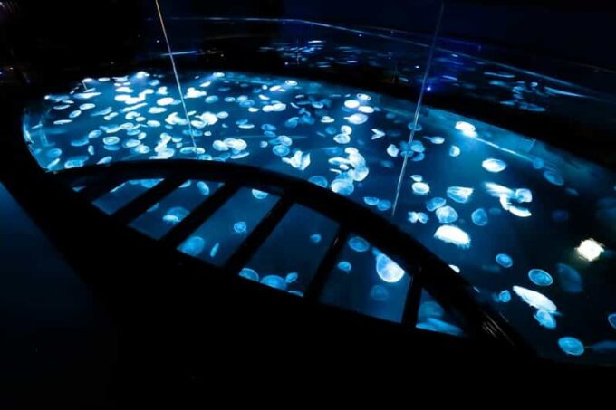 Sumida Aquarium Admission Ticket - Additional Important Information