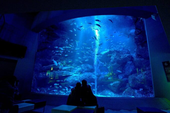 Sumida Aquarium Admission Ticket - Frequently Asked Questions