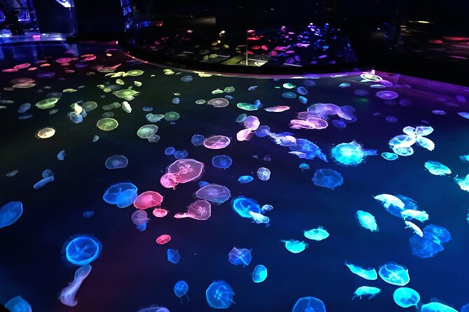 Sumida Aquarium Ticket Tokyo - Accessibility and Participation