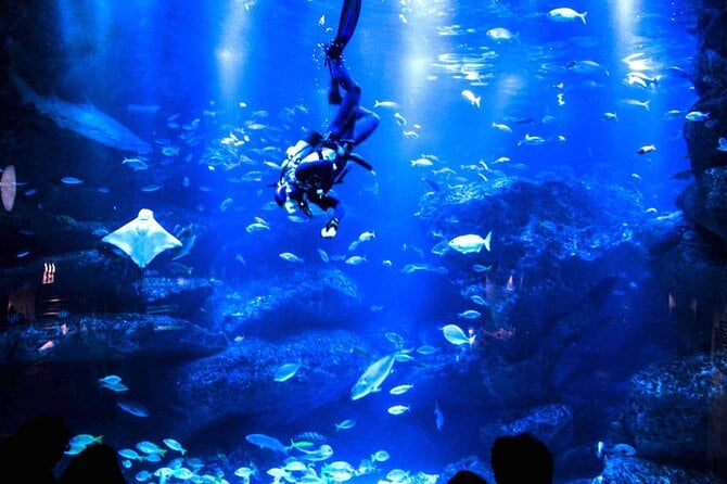 Sumida Aquarium Ticket Tokyo - Directions and Location