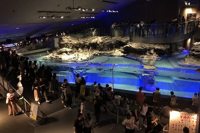 Sumida Aquarium Ticket Tokyo - What to Expect at Sumida Aquarium