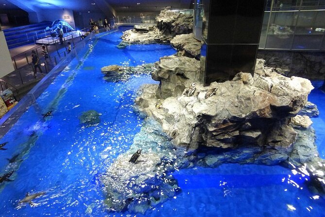 Sumida Aquarium Ticket Tokyo - Top Attractions and Exhibits