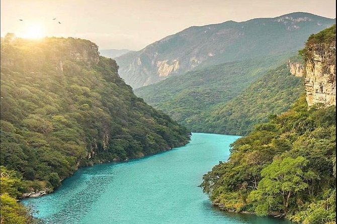 Sumidero Canyon, Canyon Lookouts, and the Town of Chiapa De Corzo. - Wildlife Sightings