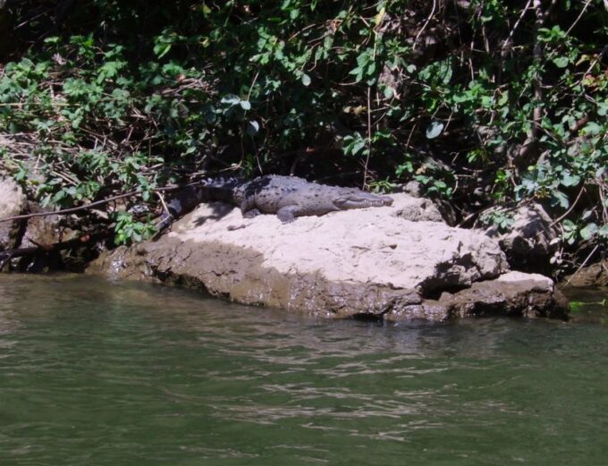 Sumidero Canyon & Chiapa De Corzo From Tuxtla - Frequently Asked Questions