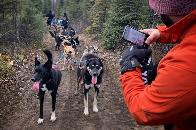 Summer Dog Sledding Adventure in Willow, Alaska - Included Amenities
