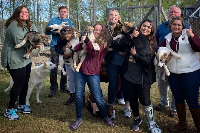 Summer Dog Sledding Adventure in Willow, Alaska - Tour Details