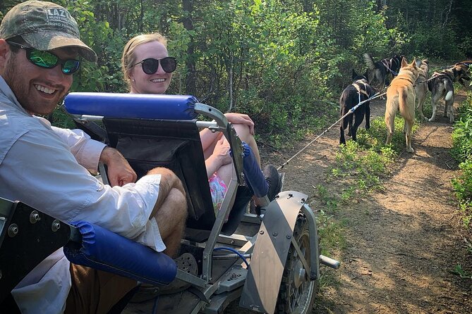 Summer Dog Sledding Adventure in Willow, Alaska - Exploring Alaskan Forests