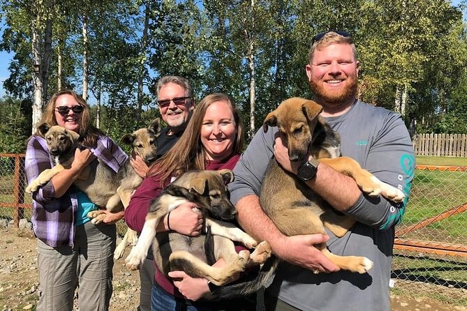 Summer Dog Sledding Adventure in Willow, Alaska - Iditarod Training Trails