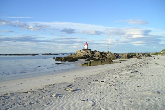 Summer Full-Day Guided Tour of the Lofoten Islands - Inclusions and Exclusions