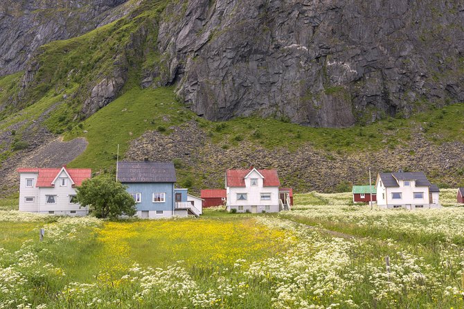 Summer Full-Day Guided Tour of the Lofoten Islands - Additional Information