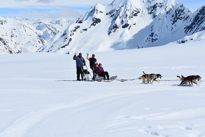 Summer Glacier Dogsledding Tour From Girdwood - Tour Highlights