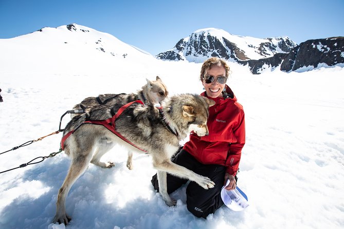 Summer Glacier Dogsledding Tour From Girdwood - Guests and Group Size