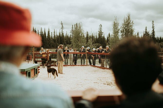 Summer Kennel Visit at Historic Trail Breaker Kennel - An In-Depth Look at the Trail Breaker Kennel Experience
