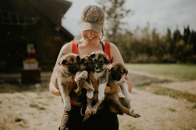 Summer Kennel Visit at Historic Trail Breaker Kennel - The Practical Side: Price, Duration, and Booking