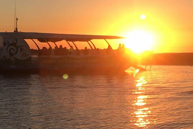 SUMMER K'gari (Fraser Island) Boom-net & Sightseeing Cruise - Practical Details & Tips