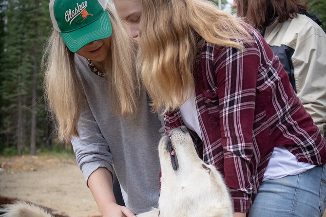 Summer Mushing Cart Ride & Kennel Tour - Meeting Point