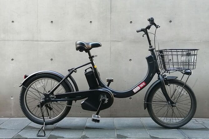[Summer Only] Twilight E-Assist Bike Tour in Tokyo - Participant Requirements