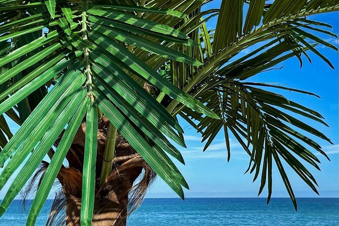 Summer Season Round Trip for Seorak Mountain and Surfy Beach - Surfy Beach Adventure