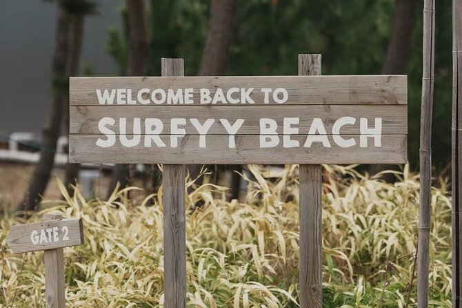 Summer Season Round Trip for Seorak Mountain and Surfy Beach - Transportation and Logistics