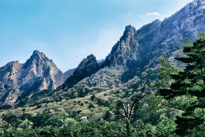 Summer Season Round Trip for Seorak Mountain and Surfy Beach - Lunch and Dining Options