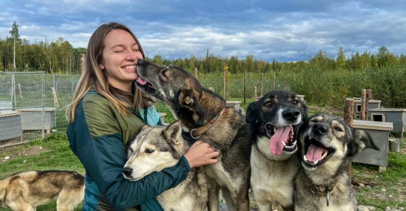 Summer Sled Dog Kennel Tour - Key Points