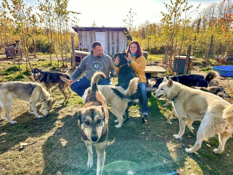 Summer Sled Dog Kennel Tour - The Itinerary in Detail