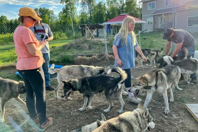 Summer Sled Dog Kennel Tour - The Sum Up