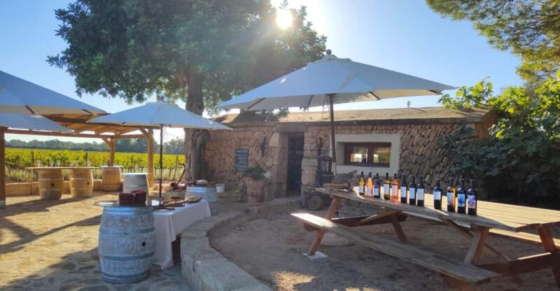 Summer Special Bodegas Bordoy! - Key Points