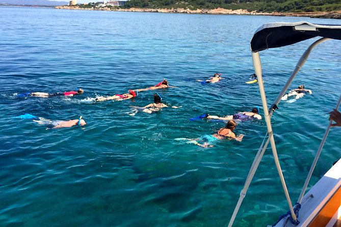 Summer Tour: Dolphin Watching and Guided Snorkeling - Meeting Point and Pickup