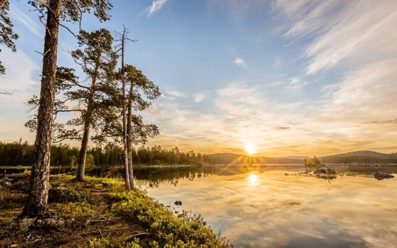 Summer Tour From Rovaniemi: Korouoma Waterfall and Ranua Zoo - Good To Know